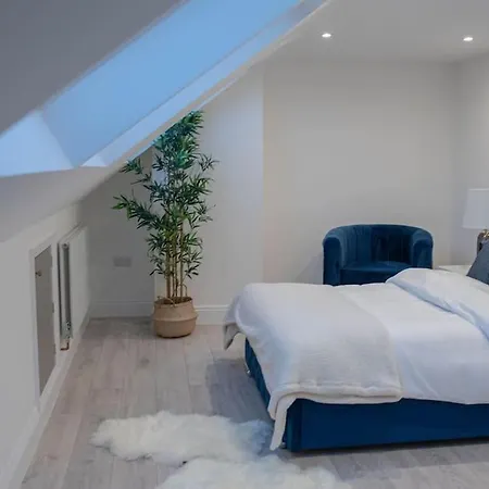 Stylish Skylight Room In A Luxury House